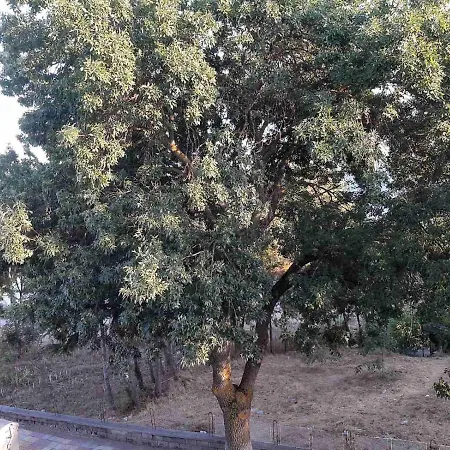 Kostovi 3* プリモルスコ