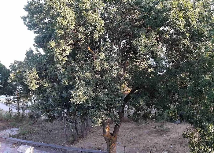 Kostovi 3* פרימורסקו